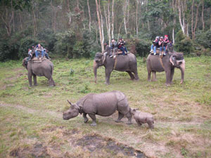 Kahtmandu-Pokhara-Chitwan Wildlife Package Tour