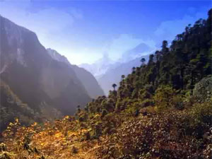 Bhutan Samtengang Trekking