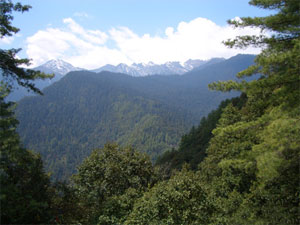 Informationen über Trekking in Bhutan