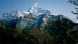Mardi Himal Trekking