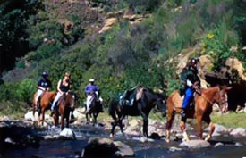 Pony Trekking in Nepal Nepal