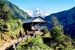 Nepal Tee-Haus trekking - Lodge Trekking